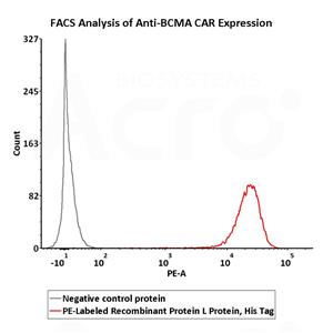PE-Labeled Recombinant Protein L