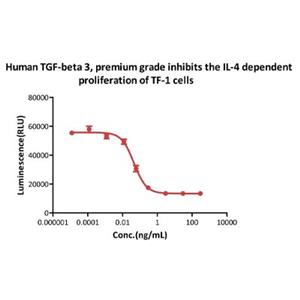 Human TGF-β3 Protein