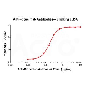 Anti-Rituximab Antibody (AY36)