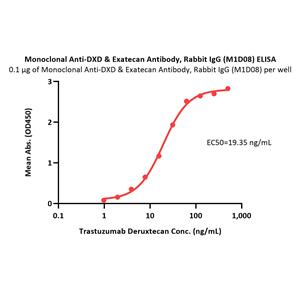 Monoclonal Anti-DXD & Exatecan Antibody