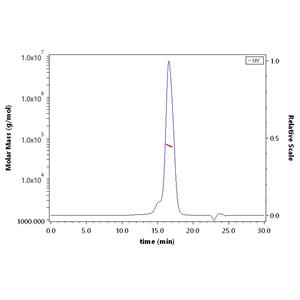 Human GUCY2C / Guanylyl cyclase C Protein