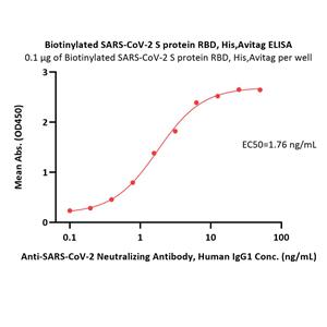 Biotinylated SARS-CoV-2 Spike RBD Protein