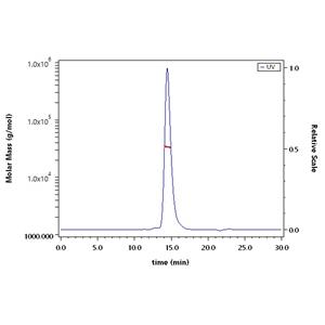Human NKp46 / NCR1 / CD335 Protein