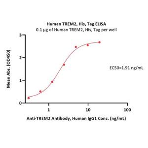 Human TREM2 Protein