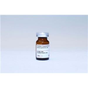 ActiveMax Streptavidin μBeads