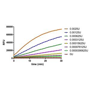 resDetect DNase Activity Assay Kit