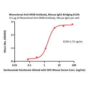 Monoclonal Anti-SN38 Antibody