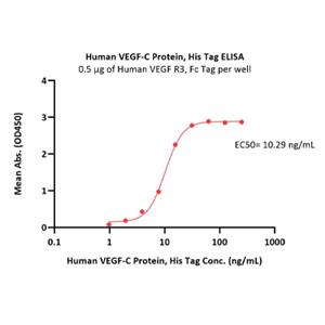 Human VEGF-C Protein