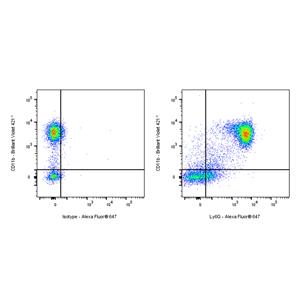 Rabbit Anti-Mouse Ly6G Antibody (S-2495-6)