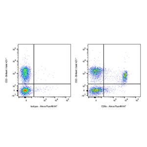Alexa Fluor 647 Rat Anti-Mouse CD8α Antibody (S-R381)