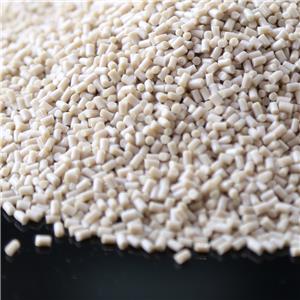 Polyetheretherketone /PEEK