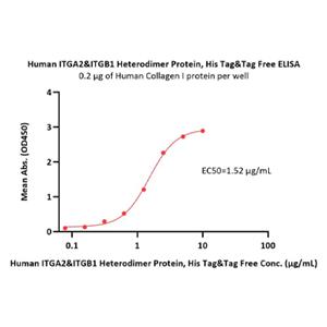Integrin α2β1 Protein