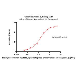 Human Neuropilin-1 / NRP1 / CD304 Protein