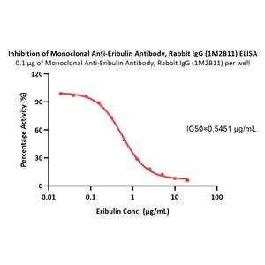 Monoclonal Anti-Eribulin Antibody