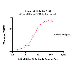 Human NPR1 / NPRA Protein