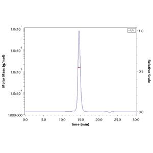 Human CD19 (20-291) Protein