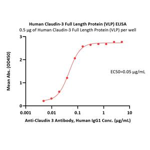 Human Claudin-3 Full Length Protein (VLP)