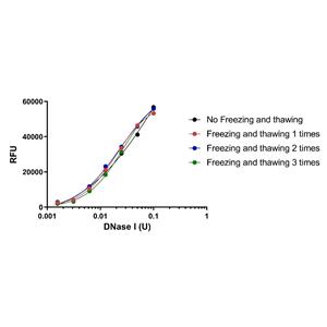 resDetect DNase Activity Assay Kit