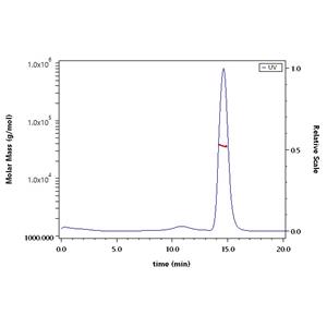 Human Mesothelin / MSLN (296-580) Protein