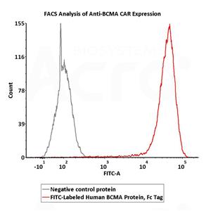 FITC-Labeled Human BCMA / TNFRSF17 Protein