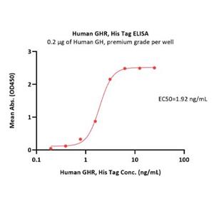 Growth Hormone R (GHR) Protein