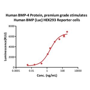 Human BMP-4 Protein