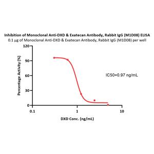 Monoclonal Anti-DXD & Exatecan Antibody