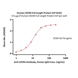 Human CXCR4 / CD184 Full Length Protein (VLP)