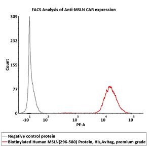 Biotinylated Human Mesothelin