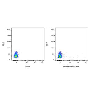 Biotin Rabbit IgG Isotype Control (S-R058)