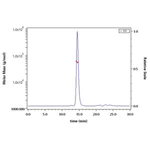 HLA-G&B2M&Peptide (RIIPRHLQL) Complex Protein