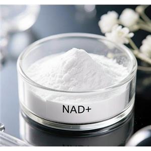 NAD+