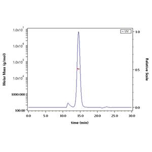 Human Coagulation Factor III / Tissue Factor Protein