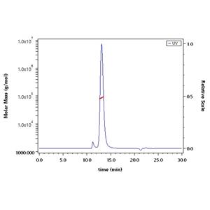 Human IgE Fc Protein