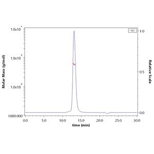 Human EGFRvIII Protein