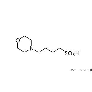 4-(N-morpholino)butyric acid (MOBS)