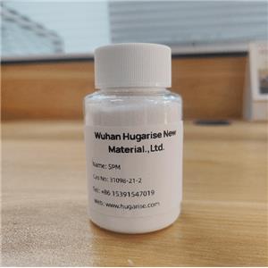 Potassium 3-sulphopropyl methacrylate（SPM）
