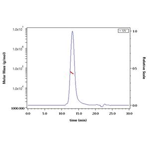 Human TIM-1 / HAVCR1 Protein