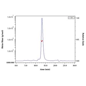 Human CD30 Ligand / TNFSF8 Protein