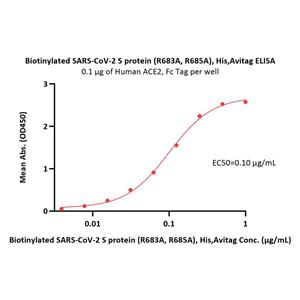 Biotinylated SARS-CoV-2 S protein