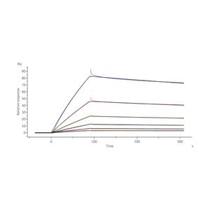 Human CXCR3 Full Length Protein (VLP)