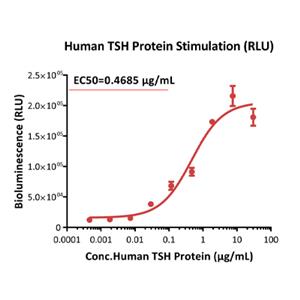TSH alpha/beta Protein