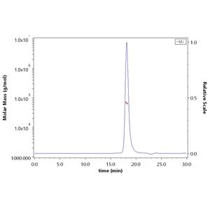 Human TRAIL / TNFSF10 Protein