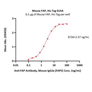 Mouse FAP Protein