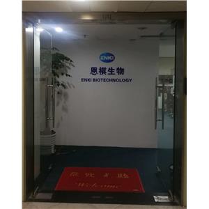 (1R,2S,5R)-7-Oxo-6-(phenylmethoxy)-1,6-diazabicyclo[3.2.1]octane-2-carboxamide