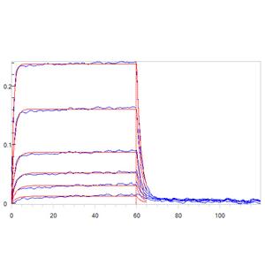 Human CD155 / PVR Protein