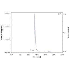 Human ROR2 / NTRKR2 Protein