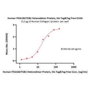Integrin α1β1 Protein