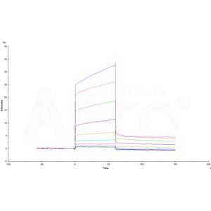 Human PSGL-1 / CD162 Protein