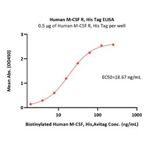 M-CSFR / CSF1R Protein